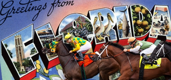 Florida Horse Racing Biggest Horse Races In Florida