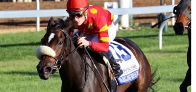 75 K Tropical Park Oaks Part of Solid Gulfstream Card