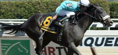 Bar of Gold Shines in $250,000 Raven Run Stakes