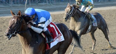 Bayerd Tops Seven Rivals in $100,000 Clever Trevor Stakes