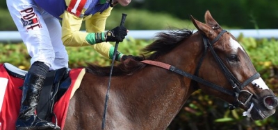 Birdatthewire Trying to Regain Form in $250,000 Princess Rooney Stakes