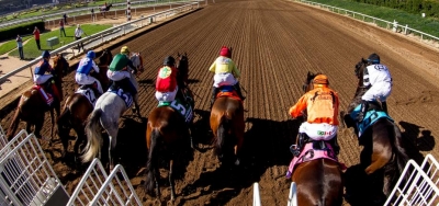 Breeders Cup Picks for 2019