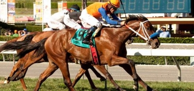 First Try on Dirt for Collected in $100,000 Sham Stakes