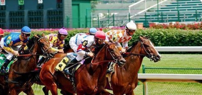 Grade 2 Royal Delta Attracts Field of Seven