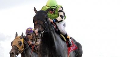 Hard Knocking Valid Back in $100,000 Harlan's Holiday Stakes after Breeders' Cup