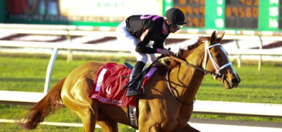 I'm a Chatterbox Strictly the One to Deny in FG Oaks