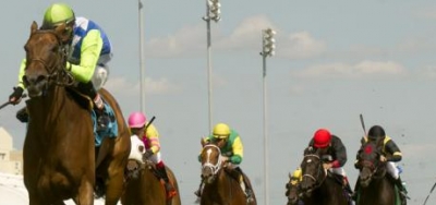 Lady Shipman Taking On Formidable Field in $100,000 Buffalo Trace Franklin County Stakes