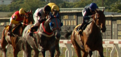 New York Stallion Stakes Draws 6