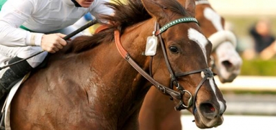 Nine Long Distance Specialists Set for $75,000 Astra Stakes