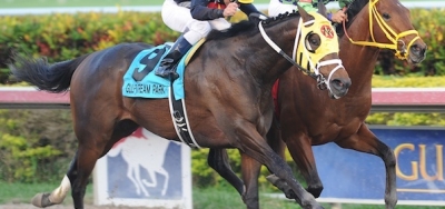 Options Aplenty in Contentious $110,000 Rapid Transit