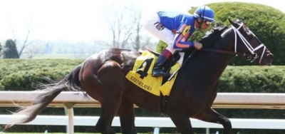 Preakness Contender Stradivari Looks Like 2006 Winner