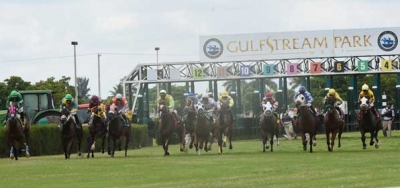 Reporting Star Headlines Field of Eight in $100,000 Millions Turf Preview