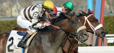 Room for Me Headlines Field for $100,000 Garland of Roses Stakes