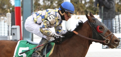 Salutos Amigos Back at Aqueduct for Repeat in $200,000 Tom Fool Handicap