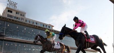 Small, but Competitive Field Lined Up For Louisiana Futurity