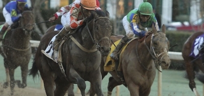 Suddenbreakingnews Looking for Repeat in $900,000 Rebel Stakes