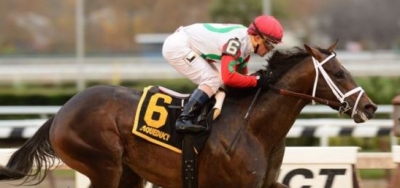 Tommy Macho Looks to Flex in $100,000 Fred W. Hooper Stakes