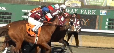 Wide-Open Bourbonette Features Full Field