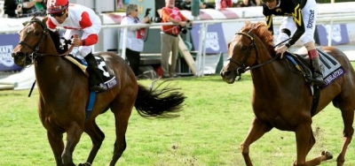 Wide Open Field of Breeders' Cup Hopefuls in $1 Million Shadwell Mile